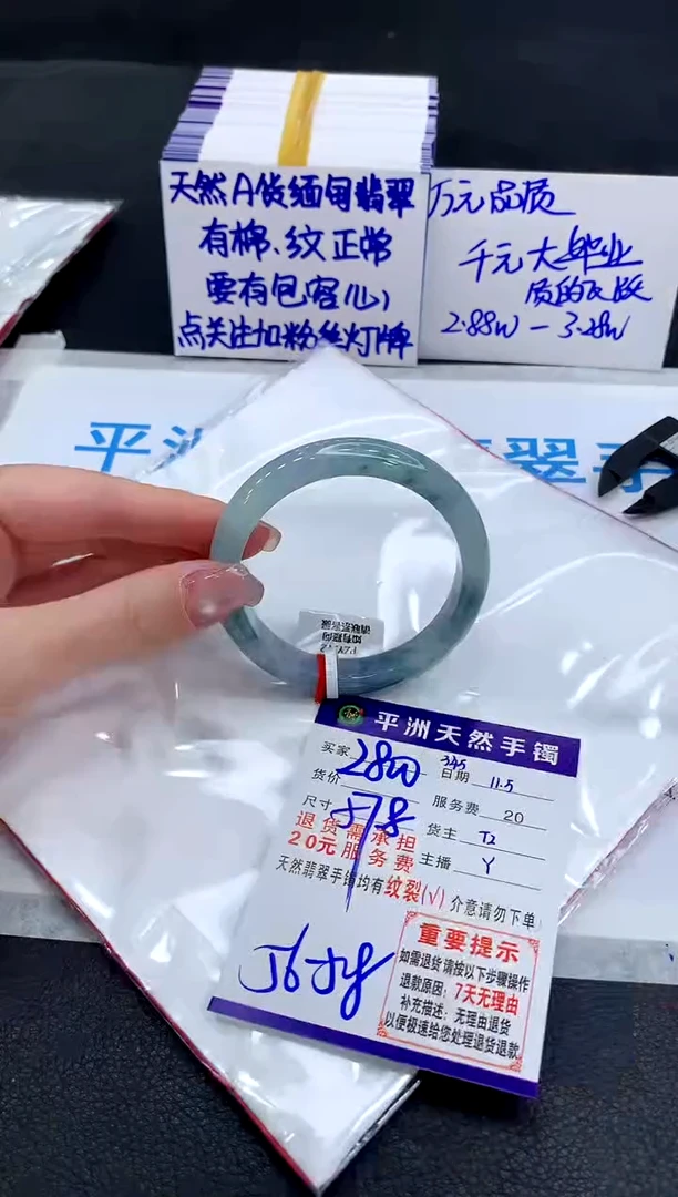 未镶嵌手镯翡翠11111
