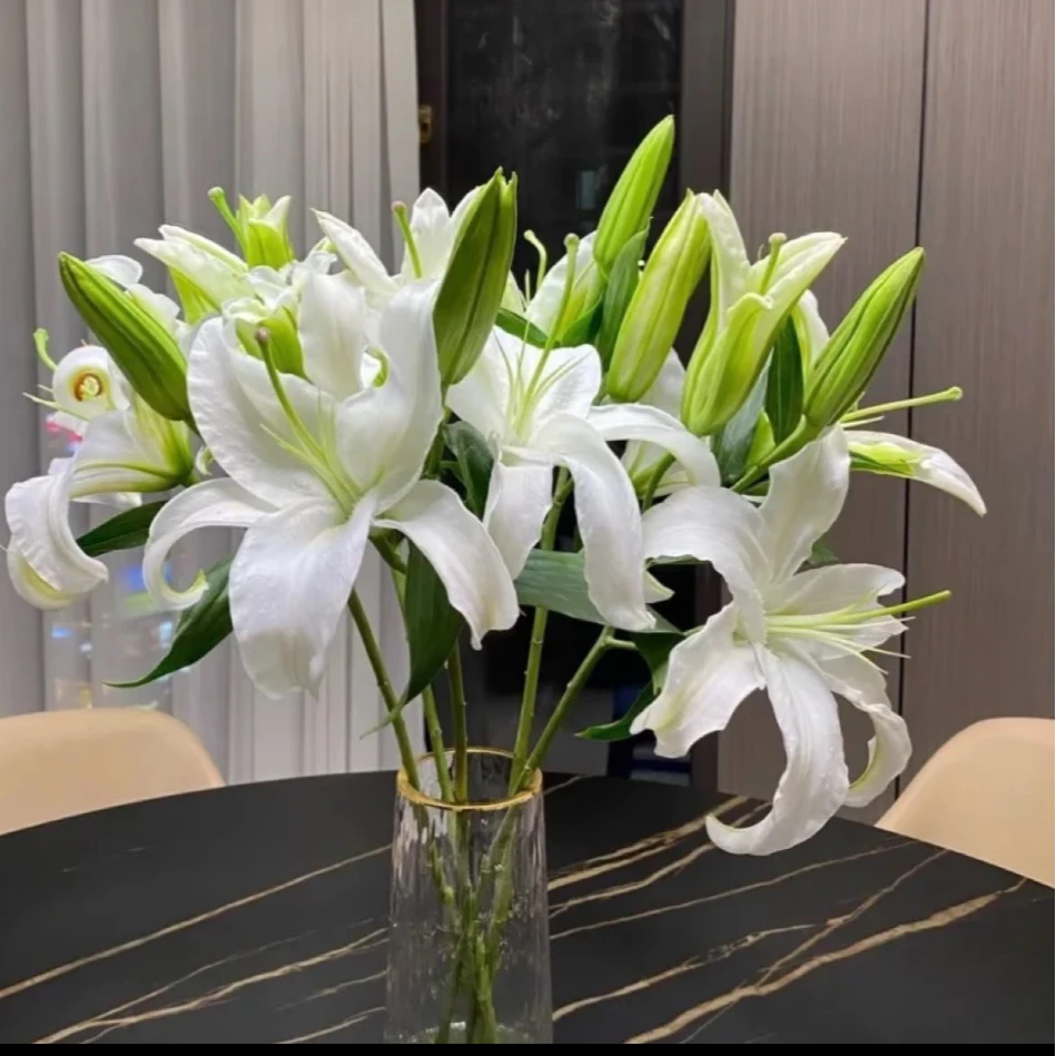 【次日达·西伯利亚香水百合（9个花苞）】家居生活鲜花全场任意两单顺丰送货上门今天拍明天到·基地直发现采现发