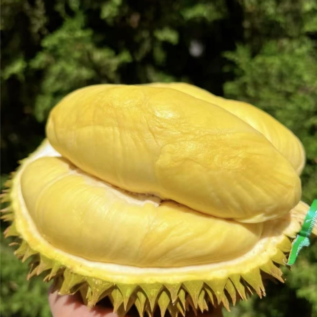 【金枕榴莲】泰国树熟金枕 鲜榴莲 核小榴莲  2-8斤 闪送到家金枕泰国