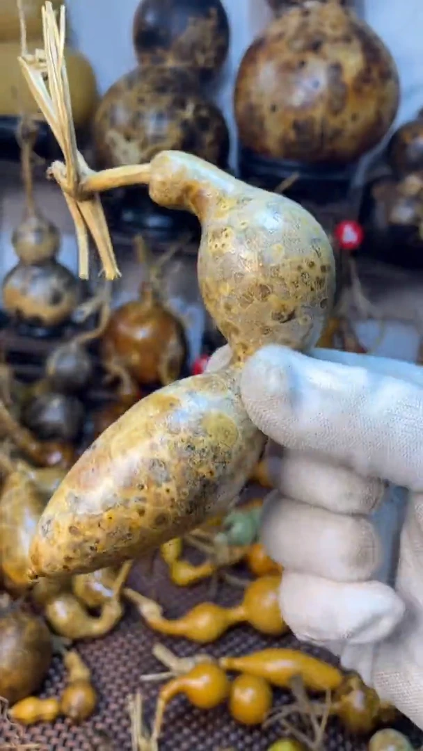 【闪购商品】葫芦葫芦葫芦葫芦