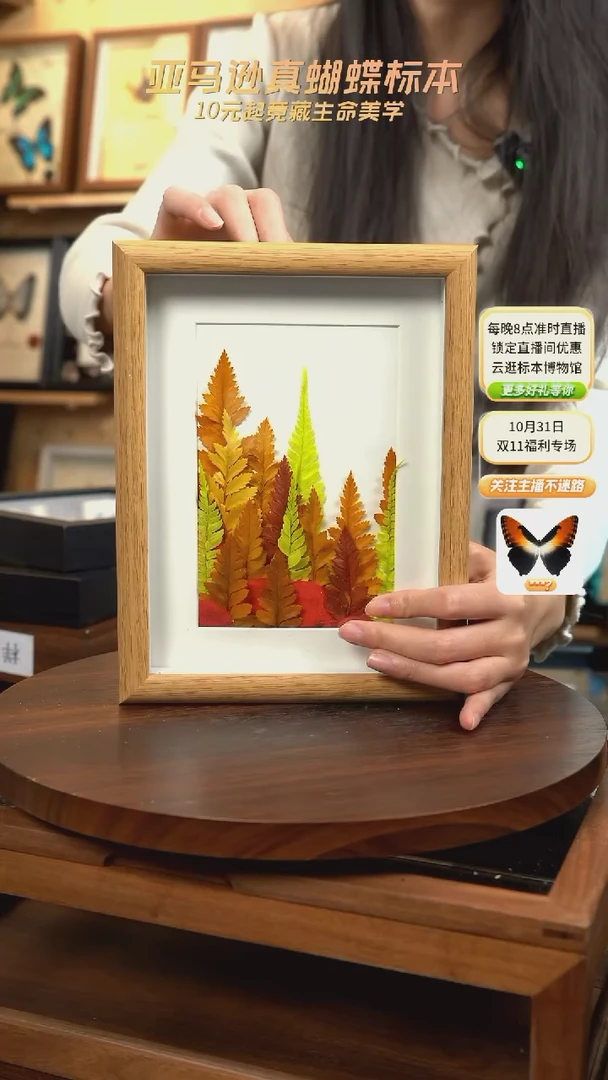 干制植物标本摆件秋