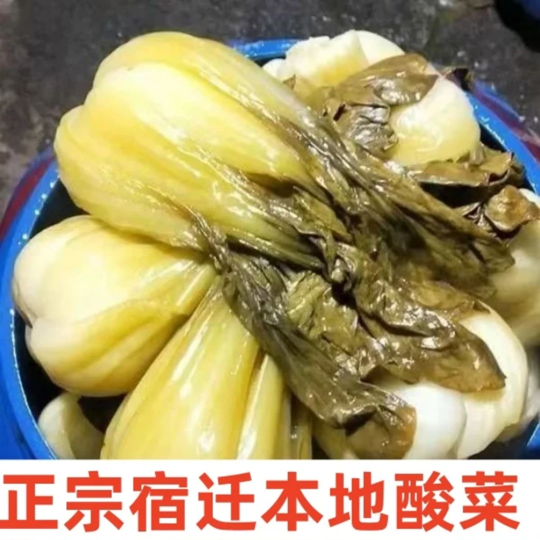 宿迁正宗酸菜2025年春季矮脚短白菜农家腌制爆腌白菜上海青咸菜
