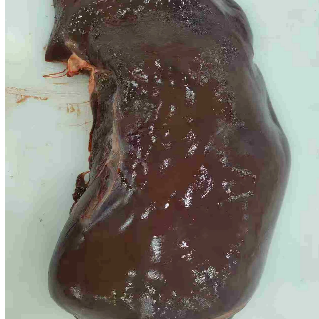 【春恒牦牛牛肝】4斤（血水很多介意慎拍血水问题不售后） 顺丰发货