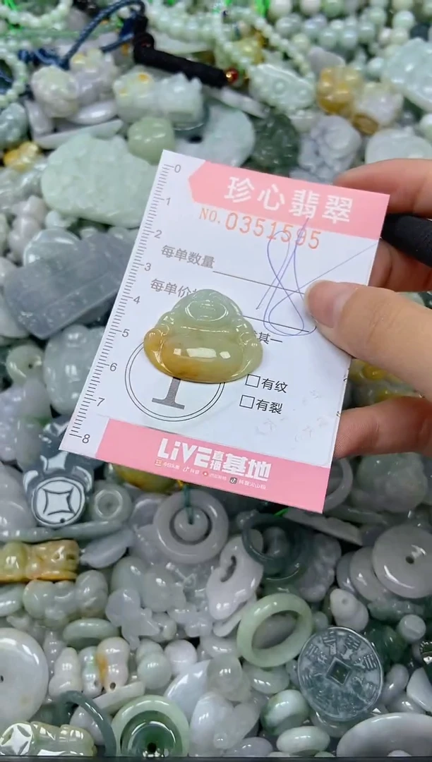 颈饰未镶嵌翡翠闪购0351595