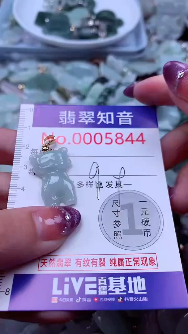 翡翠未镶嵌吊坠(不含链)5844