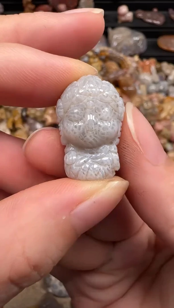 硅化珊瑚（珊瑚玉）未镶嵌颈饰606