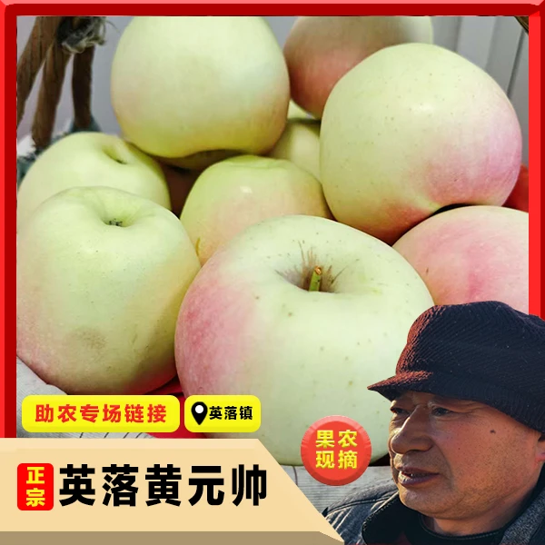 【书记助农】黄元帅苹果辽宁鞍山英落镇黄香蕉粉面香甜5斤特级大果