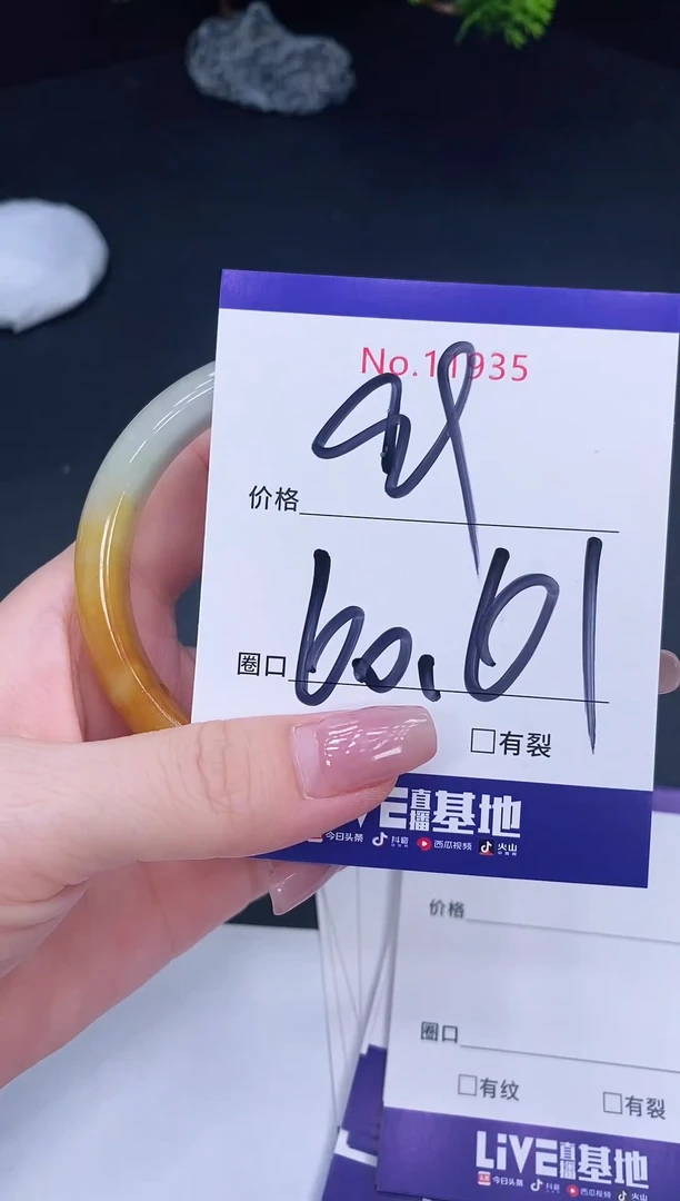 未镶嵌手镯翡翠11935
