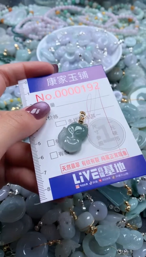 翡翠未镶嵌吊坠(不含链)192