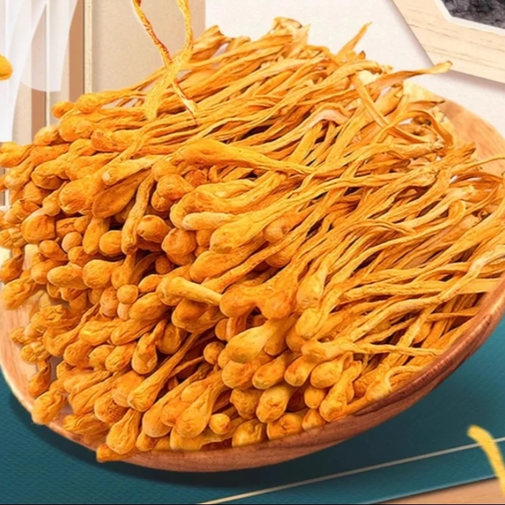 [付扬明推荐]山货云南虫草花菌子干货