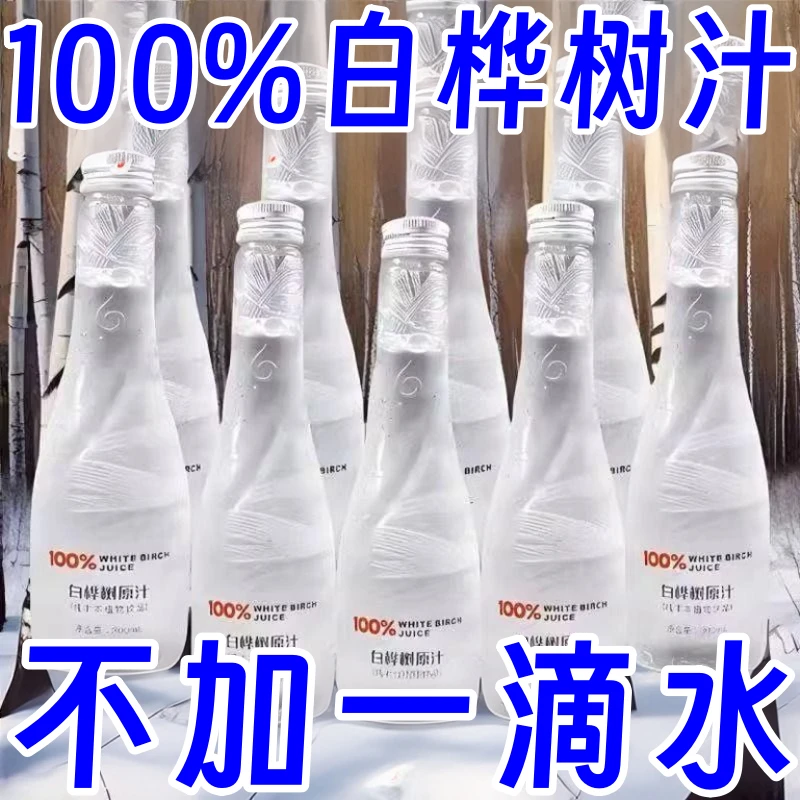 100%白桦树汁新日期植物饮料0添加风味饮品一整箱瓶装便携即饮