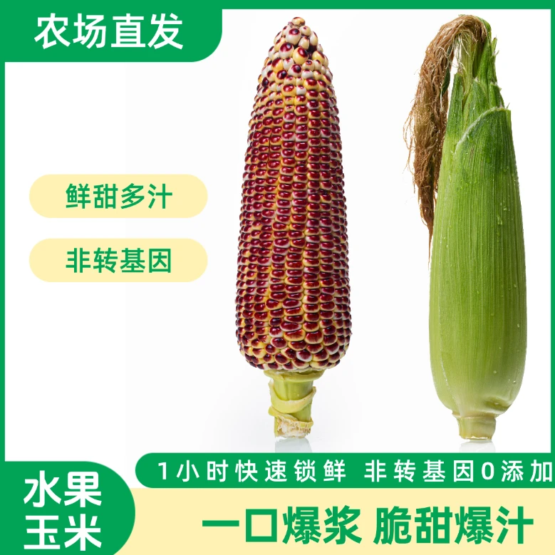 绿洲农场红提翠 水果玉米 新疆农场直采 源头溯源 地头直发