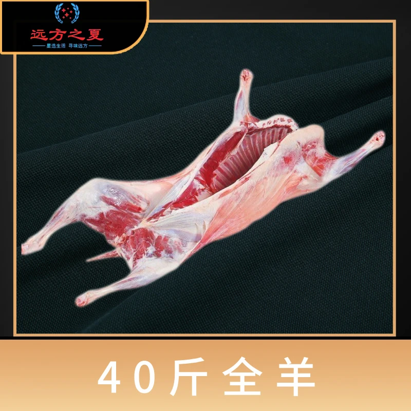 年货狂欢节-精选宁夏滩羊肉整只切割40斤全羊60%腿排
