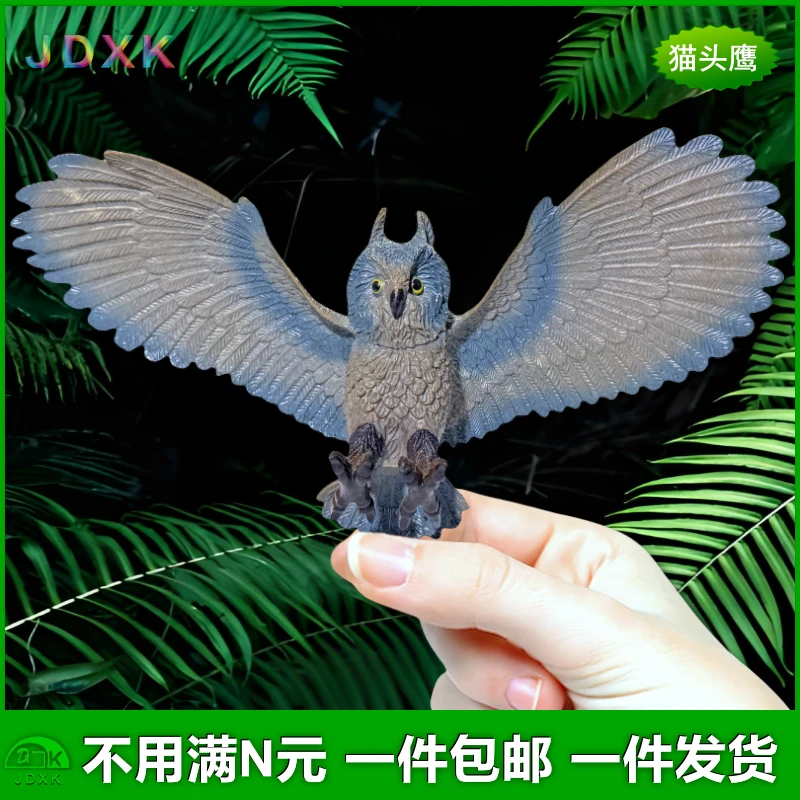 仿真猫头鹰夜猫子幼儿园过家家玩具猛禽枭小鸟类塑胶假鸟动物模型