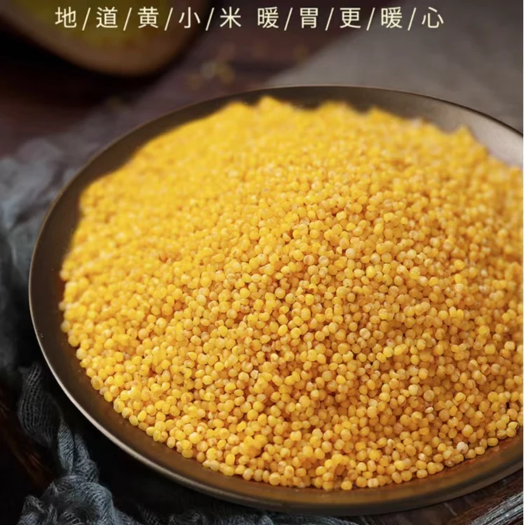 沂蒙山盐碱地黄小米 农家自种 糥小米 米油厚 口感好  绿色食材