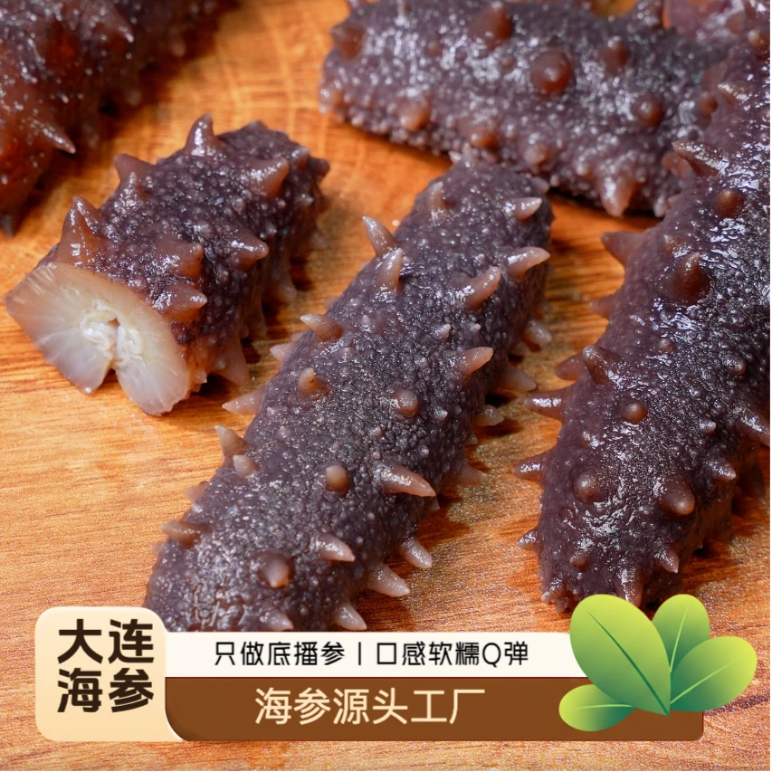【大连鲜食海参】鲜蒸海参｜口感筋道·真空独立包装