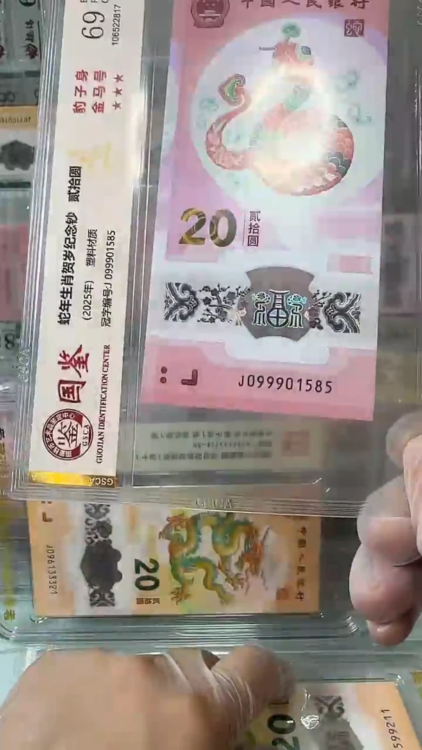 塑料099901585-蛇钞单张