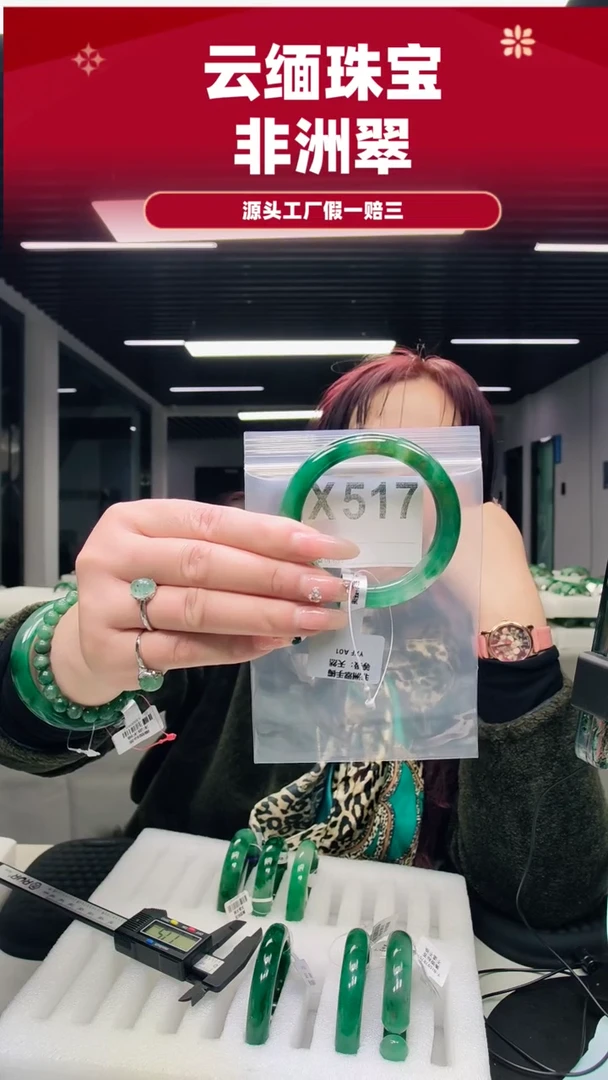 未镶嵌手镯石英质玉（非洲翠）56圈口X517