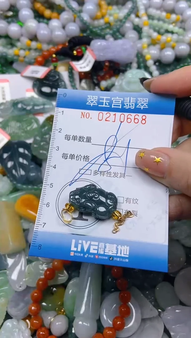 颈饰未镶嵌翡翠闪购C0210668多样性发其一