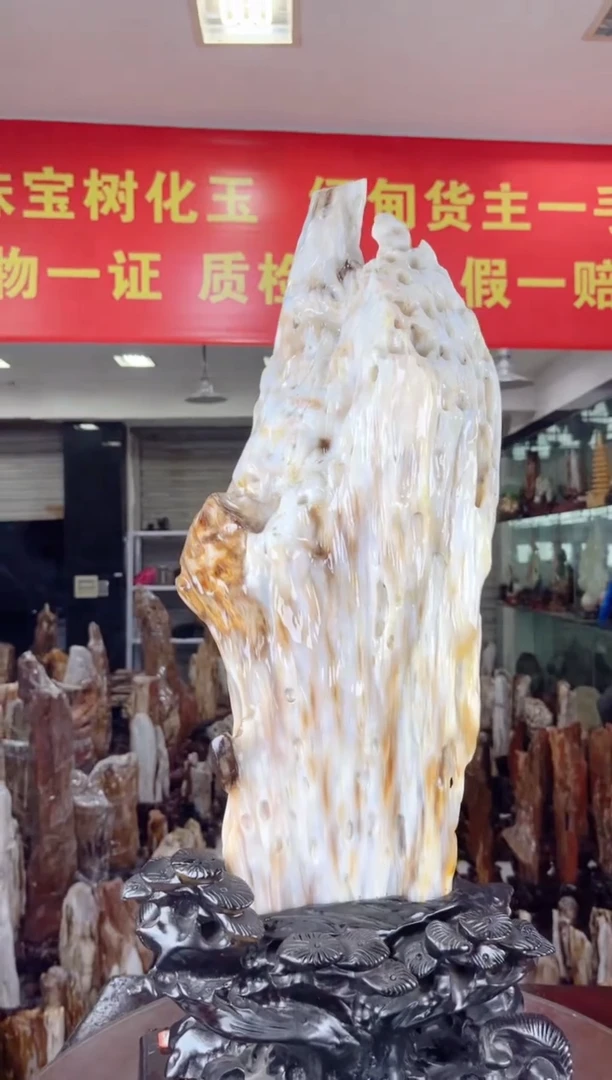 【闪购商品】硅化玉珠宝奇石未镶嵌缅甸天然树化玉
