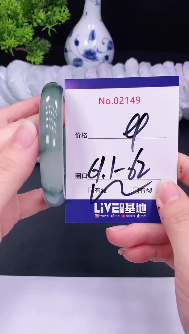 未镶嵌手镯翡翠2149