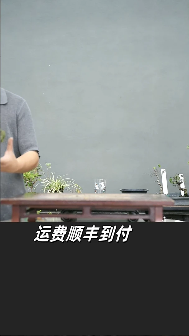 大*人144