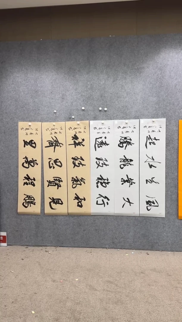 【闪购商品】书法pmw不二轩旗舰店书法ZDQ74