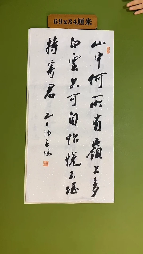 书法书法 张若鸿 尺寸69cm*34cm