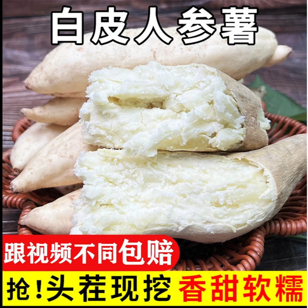 新鲜现挖爆皮王白皮黄心板栗红薯农家自种鸡蛋黄老品种植番薯地瓜