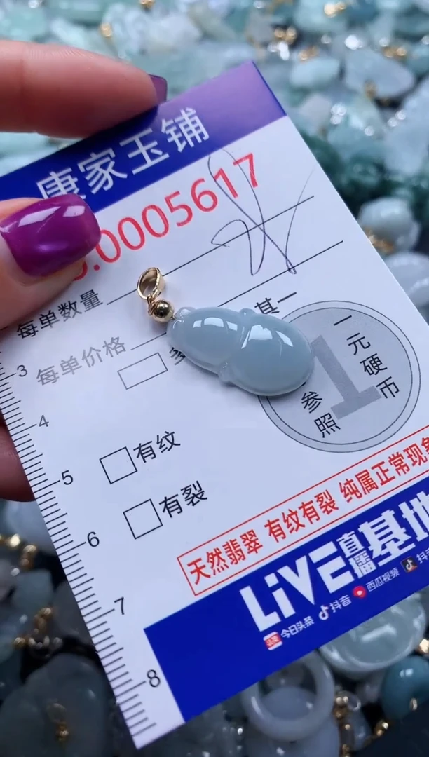 颈饰未镶嵌翡翠5617