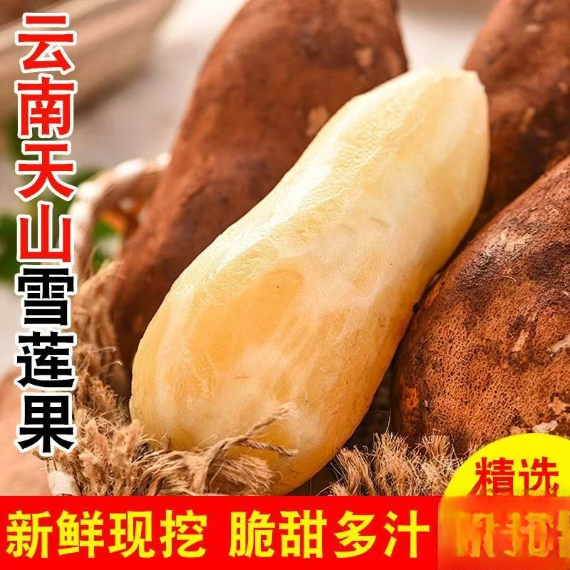 云南天山雪莲果新鲜水果直发高山雪连果当季整箱大果9斤