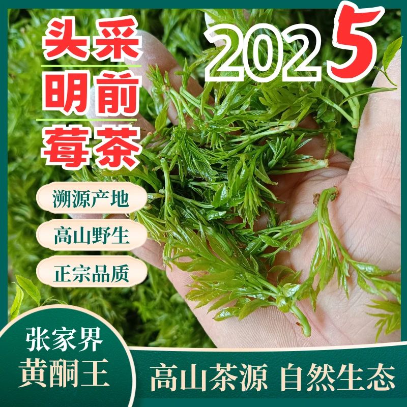 [新品活动中]张家界明前莓茶 头采芽头茶永顺莓茶芽朵朵茶