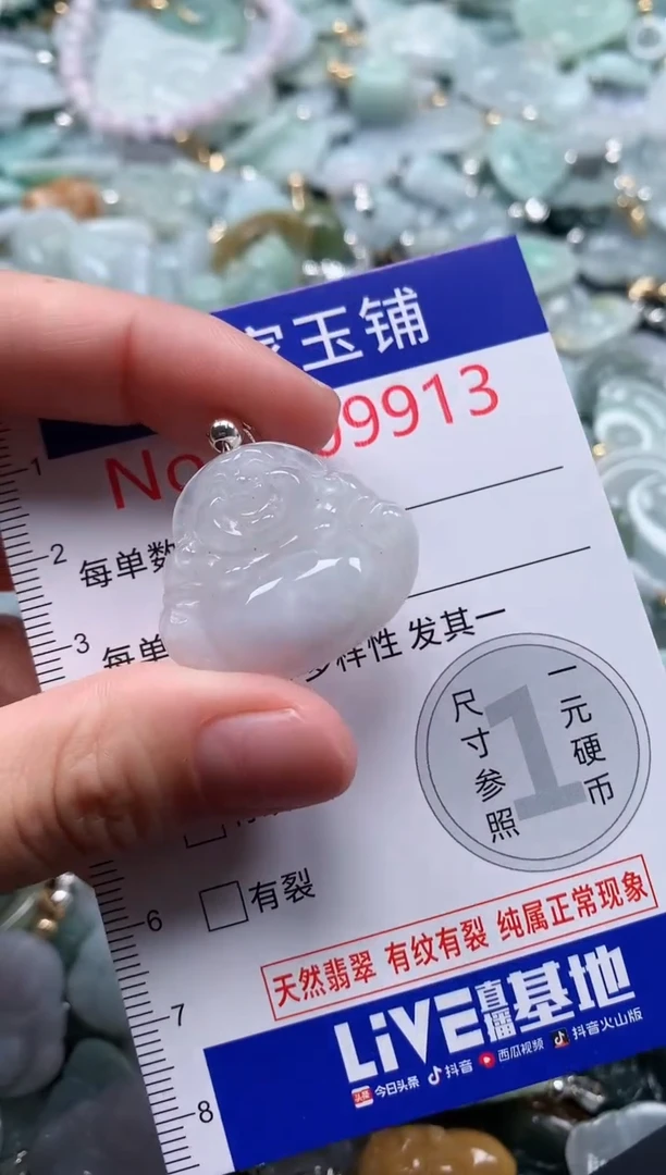 翡翠未镶嵌吊坠(不含链)9913