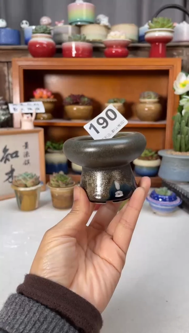 瓷片190知木小芳花盆直播编号