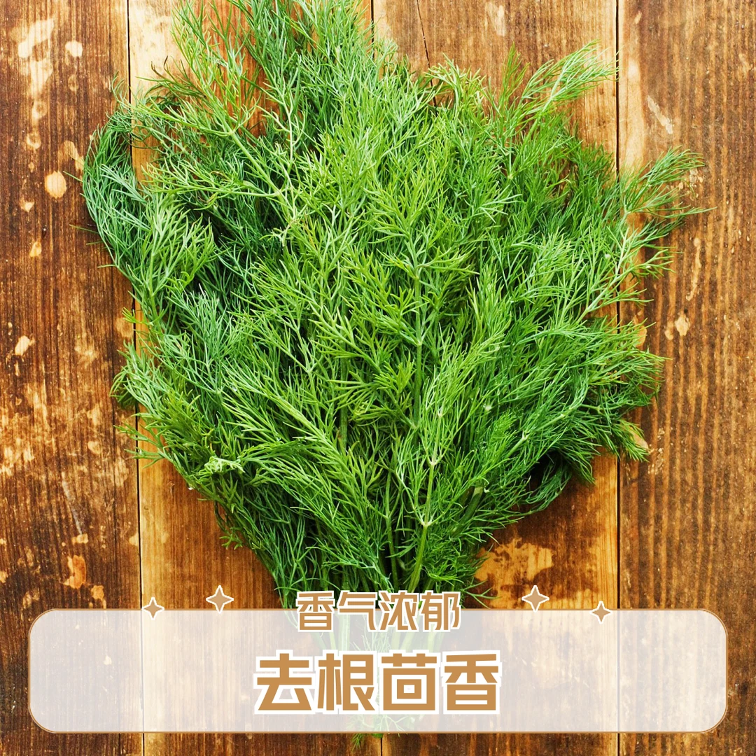 去根茴香300G左右绿色蔬菜