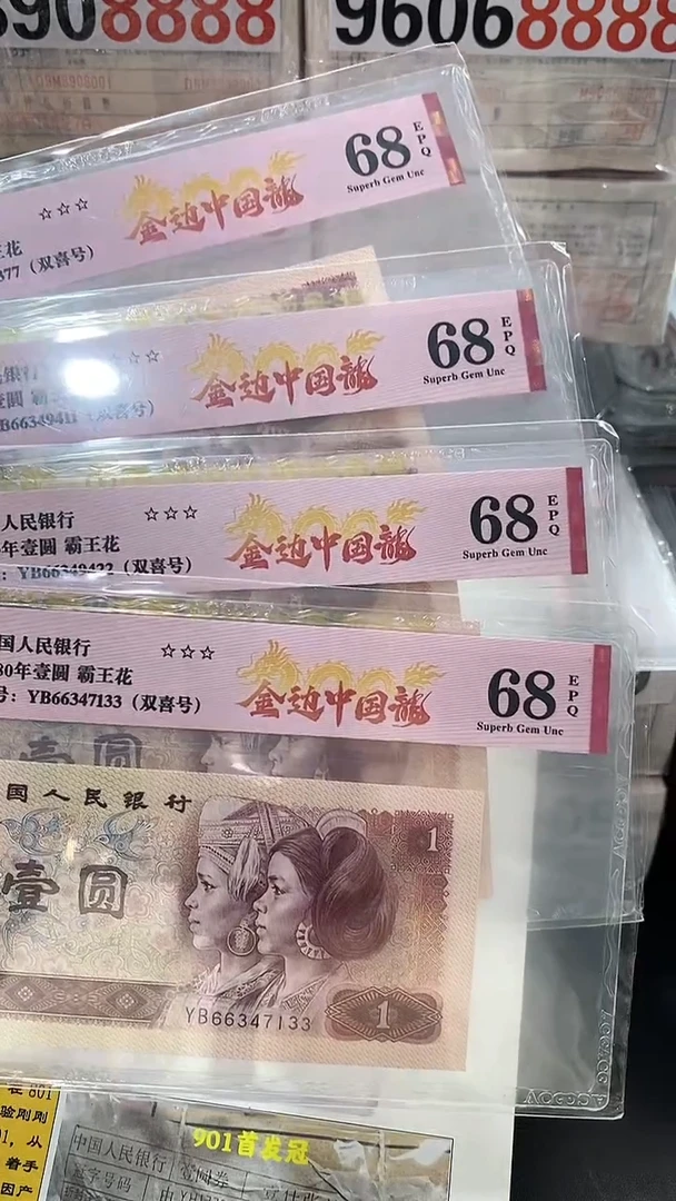 801金边中国龙68双尾不挑号