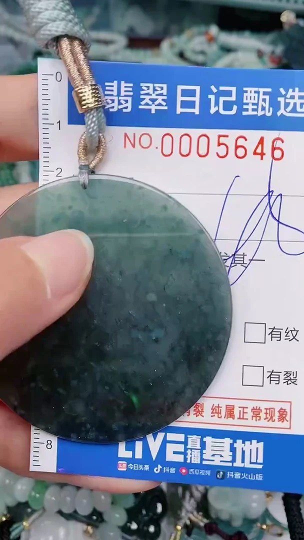 【闪购商品】翡翠颈饰未镶嵌00005646