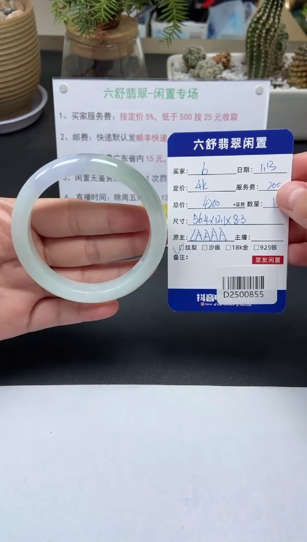 【闪购商品】翡翠手镯未镶嵌D2500855