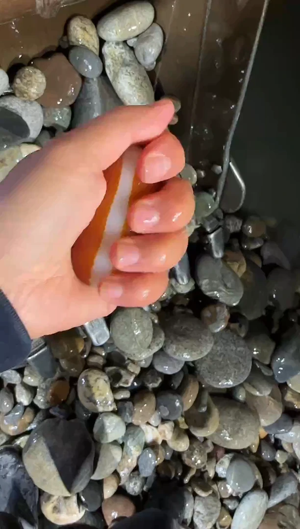 未镶嵌和田玉（糖玉）挂件99