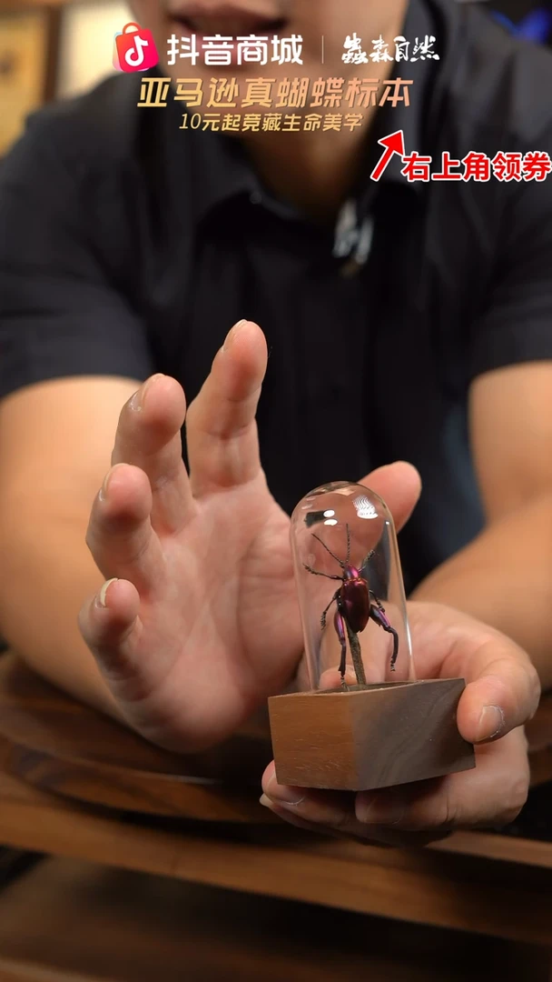 紫茎甲胡桃木试管款