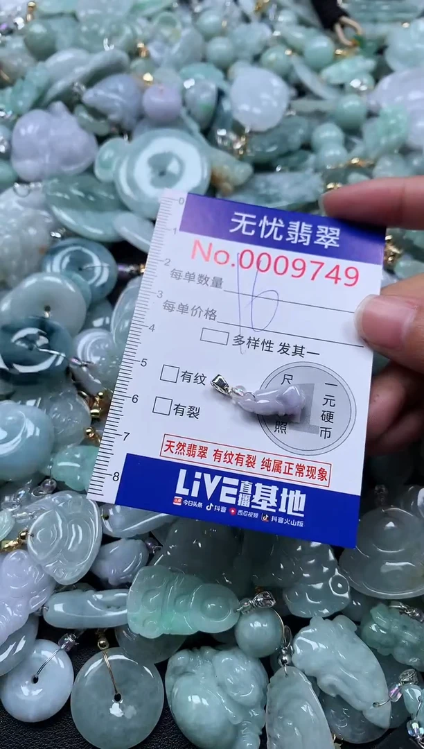 颈饰未镶嵌翡翠9749