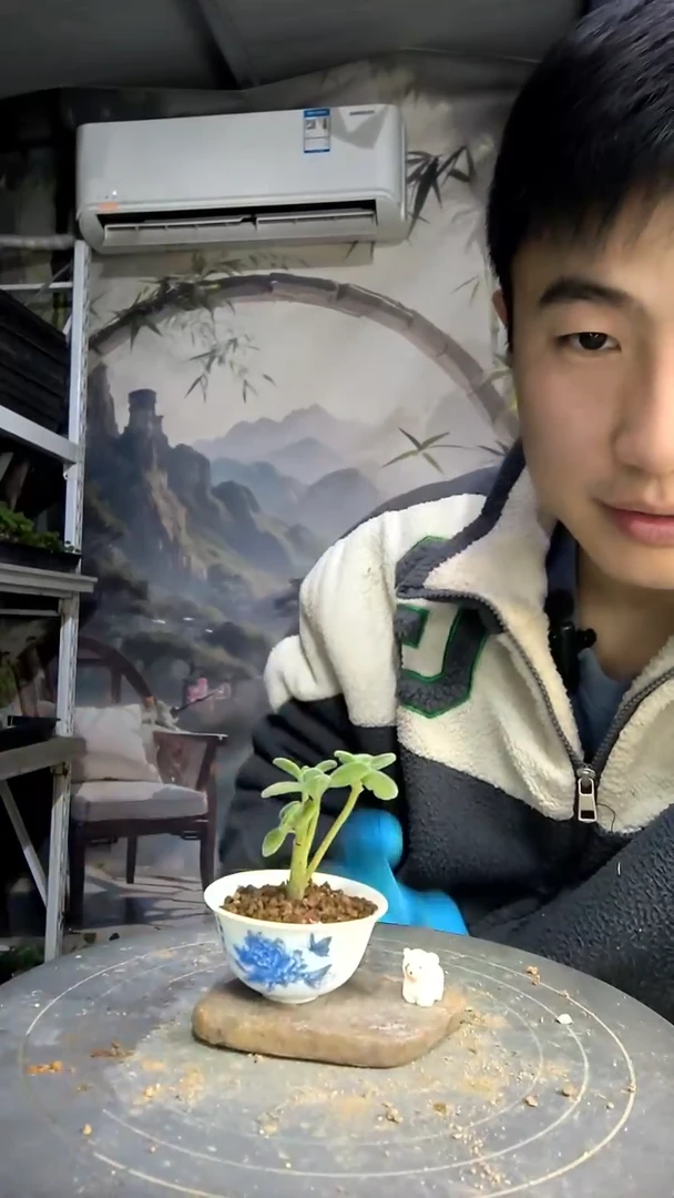 糖***了中青园艺一物一拍282