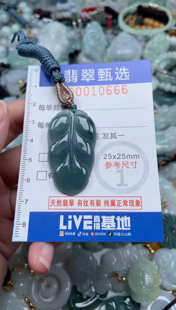 颈饰未镶嵌翡翠10666