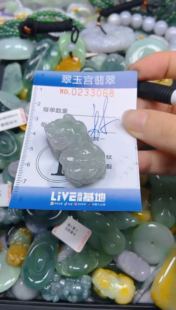 颈饰未镶嵌翡翠闪购C0233068