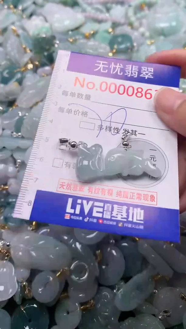 吊坠(不含链)未镶嵌翡翠863