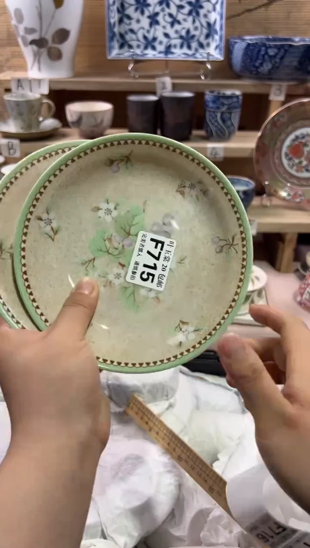 瓷片              F715