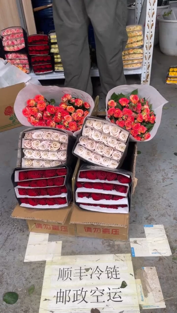 高原红20枝+曼塔20枝+爱丽丝10枝