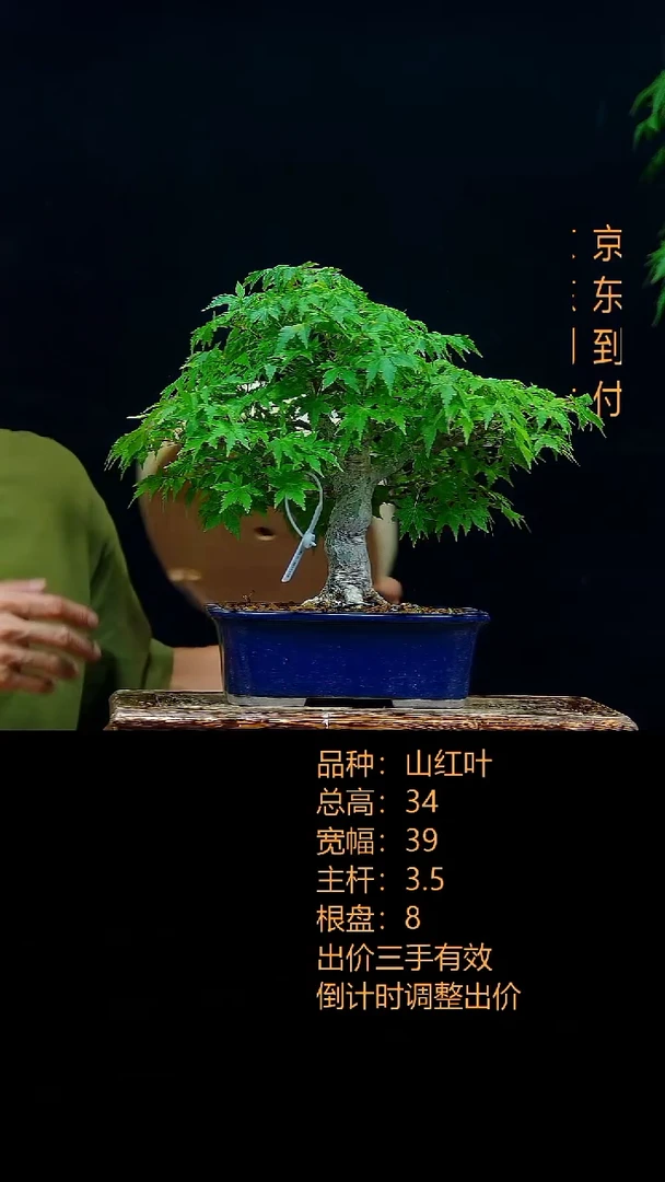 l*e0000000000山