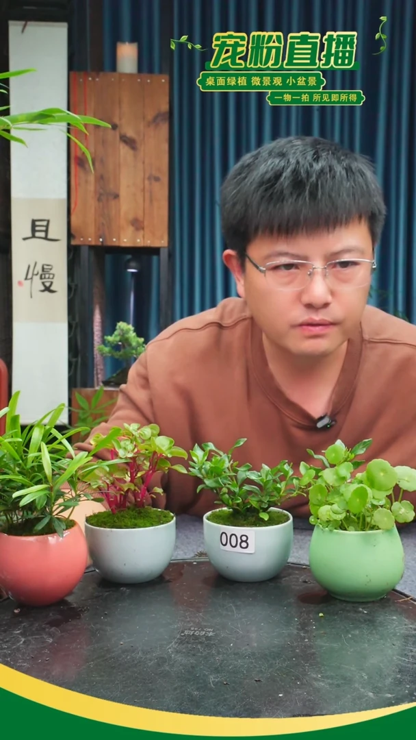 无花朵我**?苔藓微景观008号