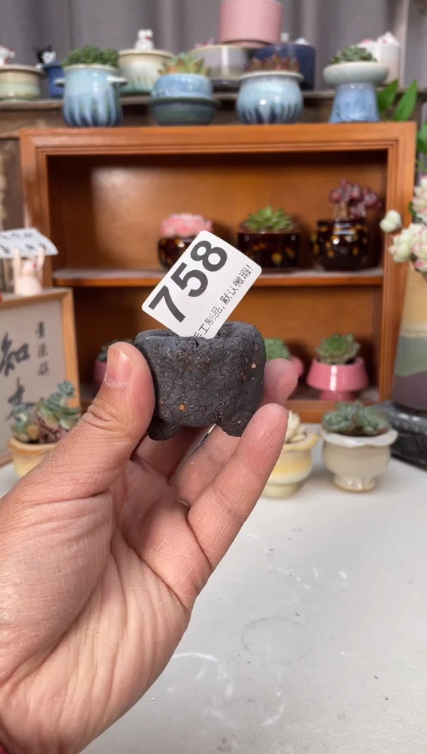 瓷片758小芳直播编号